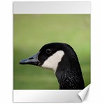 Goose bird in nature Canvas 12  x 16   11.86 x15.41  Canvas - 1