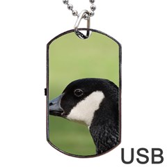 Goose Bird In Nature Dog Tag Usb Flash (one Side) by picsaspassion