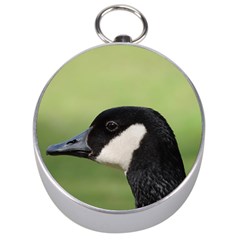 Goose Bird In Nature Silver Compasses by picsaspassion