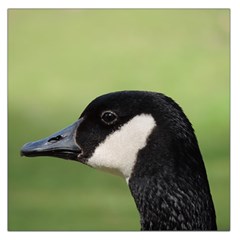 Goose Bird In Nature Large Satin Scarf (square)