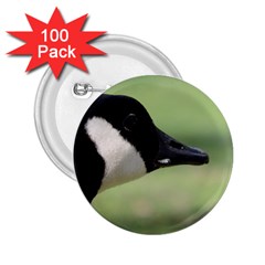 Goose, Black And White 2 25  Buttons (100 Pack) 