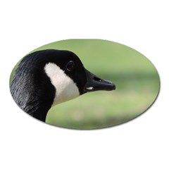 Goose, Black And White Oval Magnet