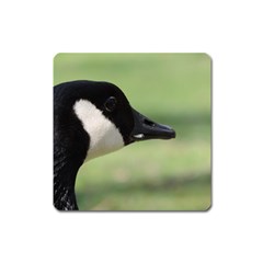 Goose, Black And White Square Magnet