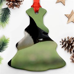 Goose, Black And White Ornament (christmas Tree)