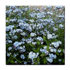 Blue Forget-me-not Flowers Tile Coasters by picsaspassion