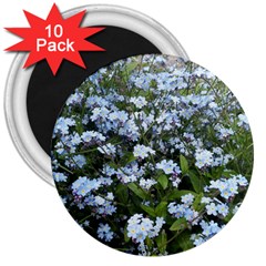 Blue Forget-me-not Flowers 3  Magnets (10 Pack)  by picsaspassion