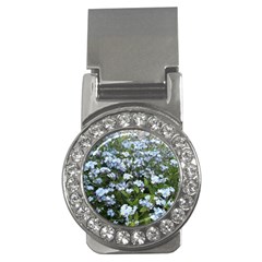 Blue Forget-me-not Flowers Money Clips (cz)  by picsaspassion