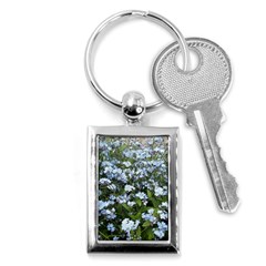 Blue Forget-me-not Flowers Key Chains (rectangle)  by picsaspassion