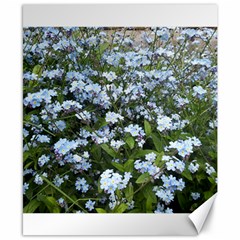 Blue Forget-me-not Flowers Canvas 8  X 10  by picsaspassion