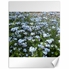 Blue Forget-me-not Flowers Canvas 18  X 24   by picsaspassion