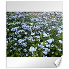 Blue Forget-me-not Flowers Canvas 20  X 24   by picsaspassion