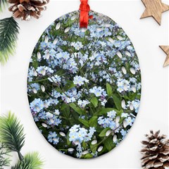 Blue Forget-me-not Flowers Oval Filigree Ornament (2-side)  by picsaspassion