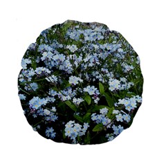 Blue Forget-me-not Flowers Standard 15  Premium Round Cushions by picsaspassion