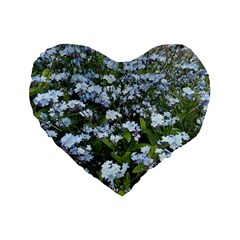 Blue Forget-me-not Flowers Standard 16  Premium Flano Heart Shape Cushions by picsaspassion