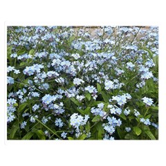 Blue Forget-me-not Flowers Double Sided Flano Blanket (medium)  by picsaspassion