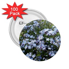 Little Blue Forget-me-not flowers 2.25  Buttons (100 pack) 