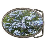 Little Blue Forget-me-not flowers Belt Buckles Front