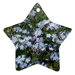 Little Blue Forget-me-not flowers Star Ornament (Two Sides) 