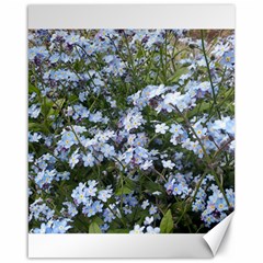 Little Blue Forget-me-not flowers Canvas 16  x 20  