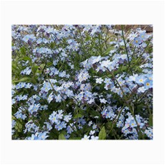 Little Blue Forget-me-not flowers Small Glasses Cloth (2-Side)