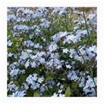 Little Blue Forget-me-not flowers Medium Glasses Cloth Front