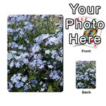 Little Blue Forget-me-not flowers Multi-purpose Cards (Rectangle)  Front 1