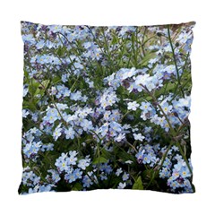 Little Blue Forget-me-not flowers Standard Cushion Case (One Side)