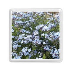 Little Blue Forget-me-not flowers Memory Card Reader (Square) 