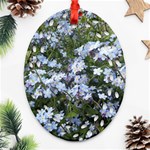 Little Blue Forget-me-not flowers Oval Filigree Ornament (2-Side)  Front