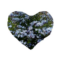 Little Blue Forget-me-not flowers Standard 16  Premium Heart Shape Cushions