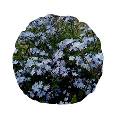 Little Blue Forget-me-not flowers Standard 15  Premium Flano Round Cushions