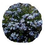 Little Blue Forget-me-not flowers Large 18  Premium Flano Round Cushions Front