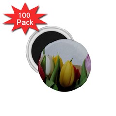 Colorful Bouquet Tulips 1 75  Magnets (100 Pack)  by picsaspassion