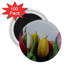 Colorful Bouquet Tulips 2 25  Magnets (100 Pack) 