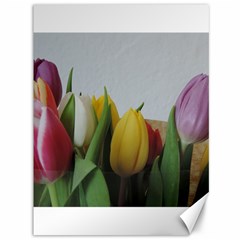 Colorful Bouquet Tulips Canvas 36  X 48   by picsaspassion