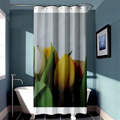 Colorful Bouquet Tulips Shower Curtain 36  X 72  (stall)  by picsaspassion