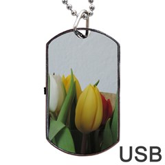 Colorful Bouquet Tulips Dog Tag Usb Flash (one Side)