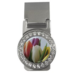 Colored By Tulips Money Clips (cz)  by picsaspassion