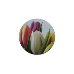 Colored By Tulips Golf Ball Marker (10 Pack) by picsaspassion