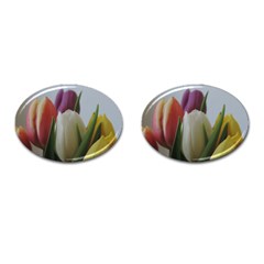 Colored By Tulips Cufflinks (oval) by picsaspassion