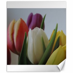 Colored By Tulips Canvas 8  X 10  by picsaspassion