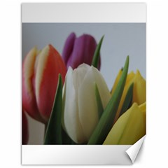 Colored By Tulips Canvas 12  X 16   by picsaspassion