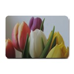 Colored by Tulips Small Doormat  24 x16  Door Mat