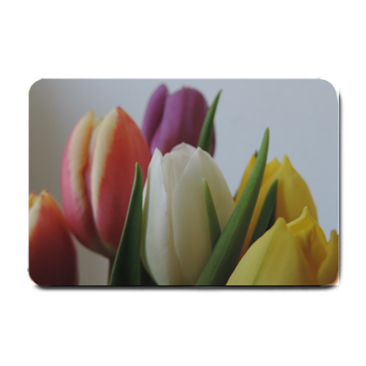 Colored by Tulips Small Doormat 