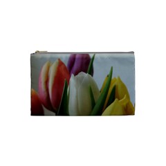 Colored By Tulips Cosmetic Bag (small)  by picsaspassion