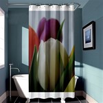 Colored by Tulips Shower Curtain 36  x 72  (Stall)  Curtain(36 X72 ) - 33.26 x66.24  Curtain(36 X72 )