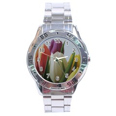 Colored By Tulips Stainless Steel Analogue Watch by picsaspassion