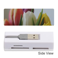 Colored By Tulips Memory Card Reader (stick)  by picsaspassion