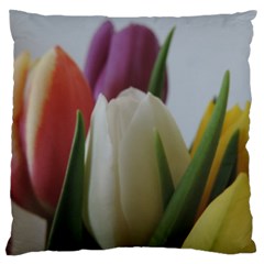 Colored By Tulips Large Cushion Case (one Side) by picsaspassion