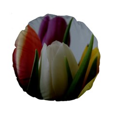 Colored By Tulips Standard 15  Premium Round Cushions by picsaspassion